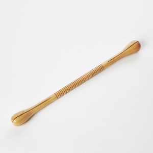 Klickstick Elsbeere KS1